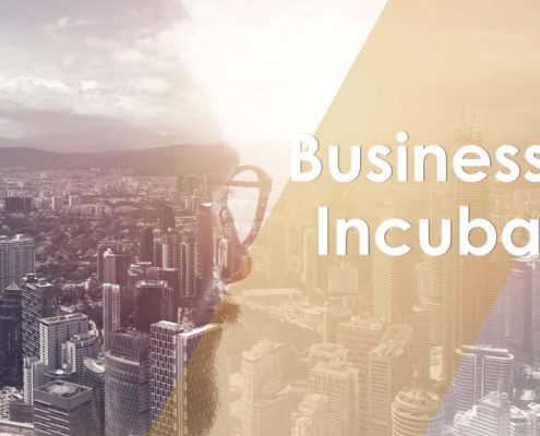 Business Incubator: il segreto per sviluppare un’azienda di successo.